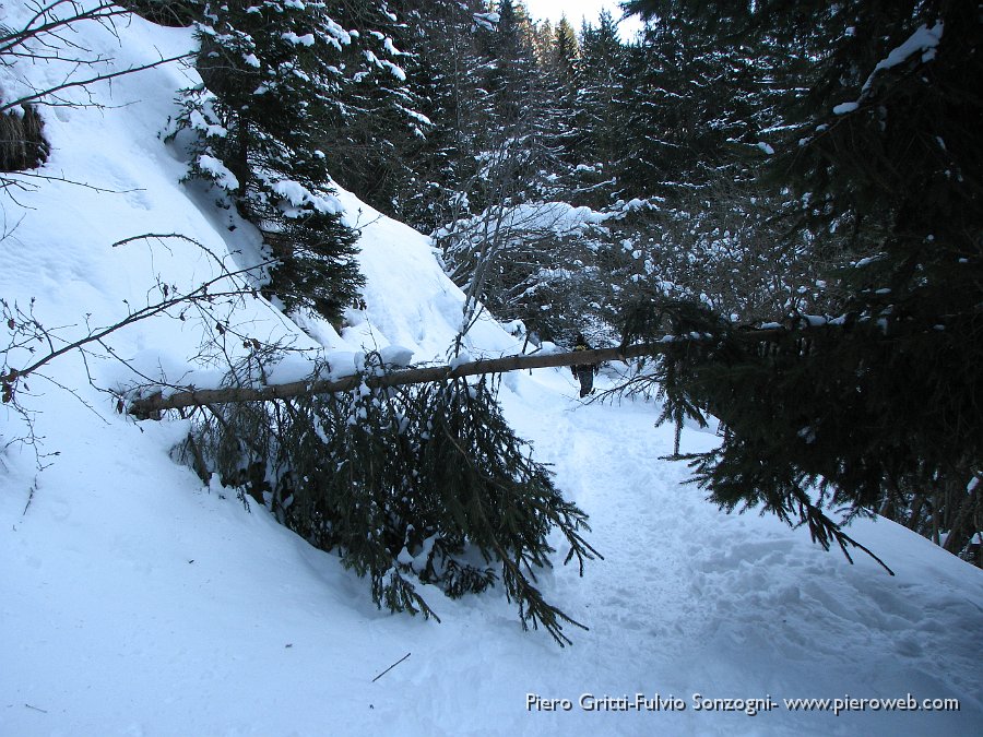 15 Crollo da neve.jpg